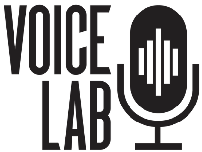 voicelabacademy.com